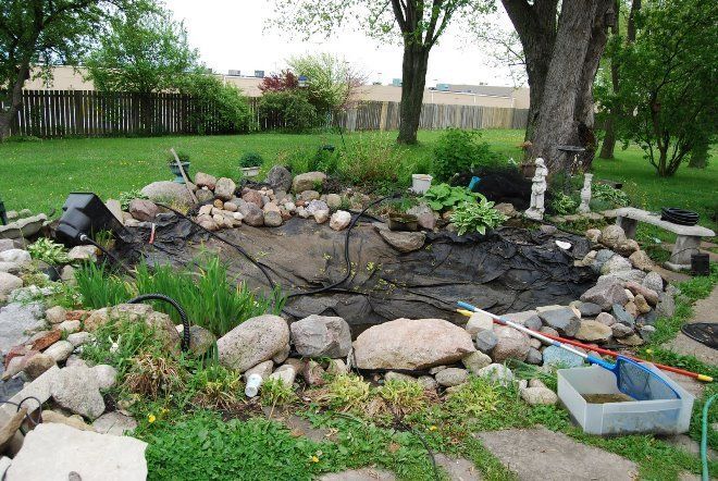 Очистка водоемов и прудов, откачка воды, осушение, чистка ряски.